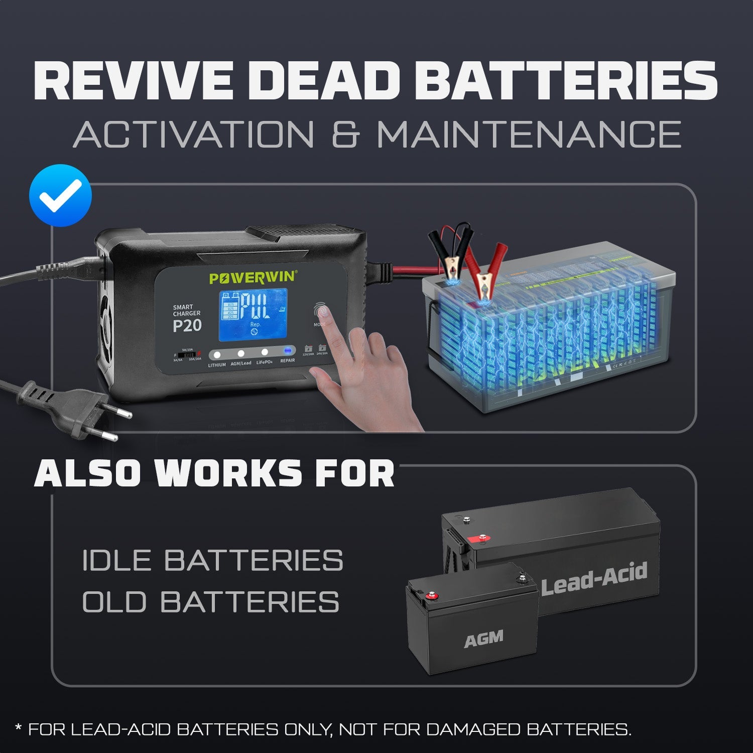 Powerwin P20 12V/24V 20A Automatic Battery Charger for Car, Truck,